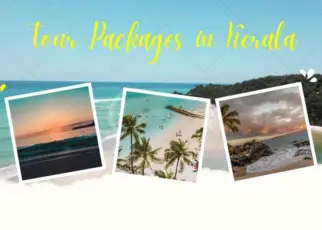 Your Guide to Unique Tour Packages in Kerala
